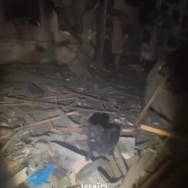 Опублікувати зображення