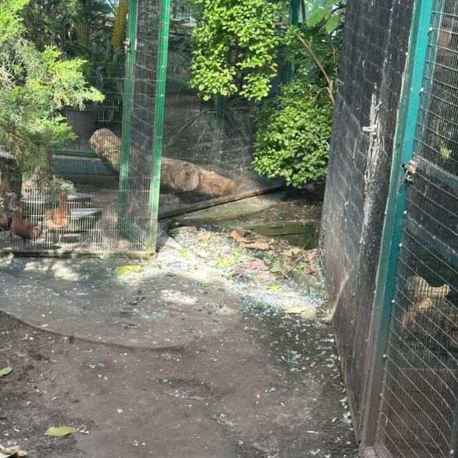 Опублікувати зображення