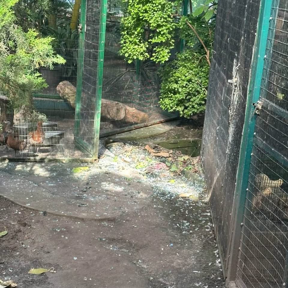 Опублікувати зображення